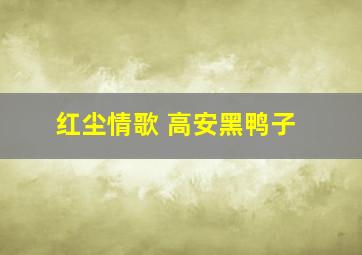 红尘情歌 高安黑鸭子